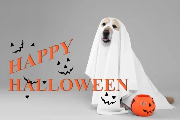 Happy Halloween from MinnTrust Mortgage LLC